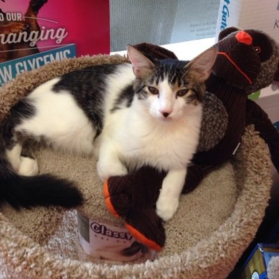 A unique pet store experience!  We offer natural pet foods at great prices, pet nutrition advice, grooming & self wash.