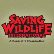 Saving Wildlife International (SWI) is a nonprofit wildlife conservation organization based in Southern California.