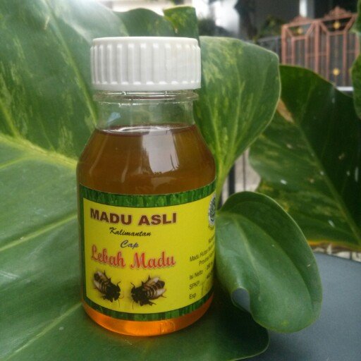 Madu Hutan asal Kapuas Hulu, Kalimantan Barat. Asli - Enak - Berkhasiat.   SMS/WA: 0878-80772738. IG: maduhutankalbar