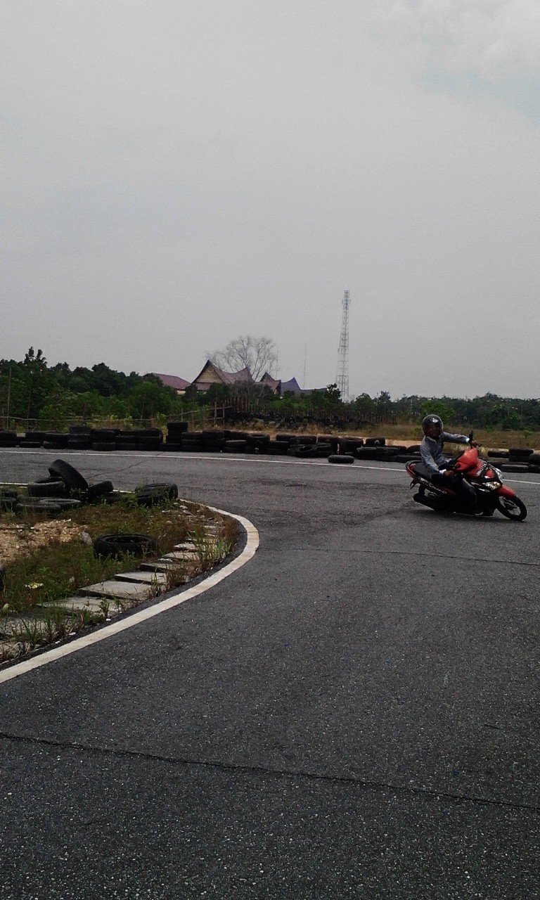 AlfingRiders's profile picture. 