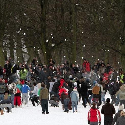 yegsnowfight's profile picture. Round 1 was great but round 2 is going to rock! #yyc meets #yeg. Stay tuned! Account run by @RobinMazumder and @chase_jeff.