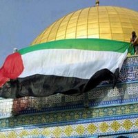 qasem salam (@qssh55) 's Twitter Profile Photo qasem salam (@qssh55) 's Twitter Profile Photo