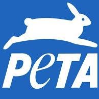 This is a campaign project done by students to serve to promote PETA! #StopAnimalAbuse project.