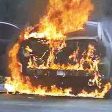 X_TooCool's profile picture. 