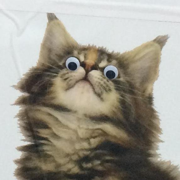 Netikaz's profile picture. 