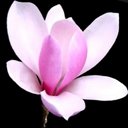 Fran Lindsay - @FrannieLindsay - Twitter