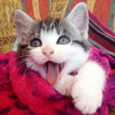 C_otool3's profile picture. Make your own decisions. Don't let others make them for you.