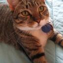 Pippin Chip Anderson - @Pippin_Chip - Twitter