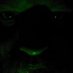 Profile Picture of James Franklyn (@k_franklyn) on Twitter