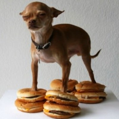 Gurrilicious's profile picture. 