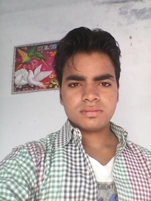 hiii friends my name is Vipin.my age is 18year old