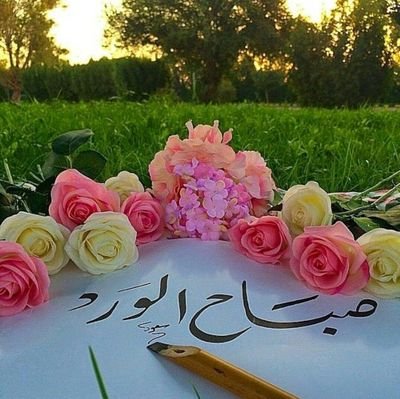 ‏إذا نافسكَ النــاس عــلى الدنــيا .... أتركهــا لهــم !

وإن نَافسَكَ الناسُ عَــلى الآخـِرة .... فكــُن أنــت أسبــقهم ،،

فإن الله...