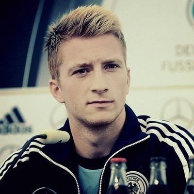 fut trader