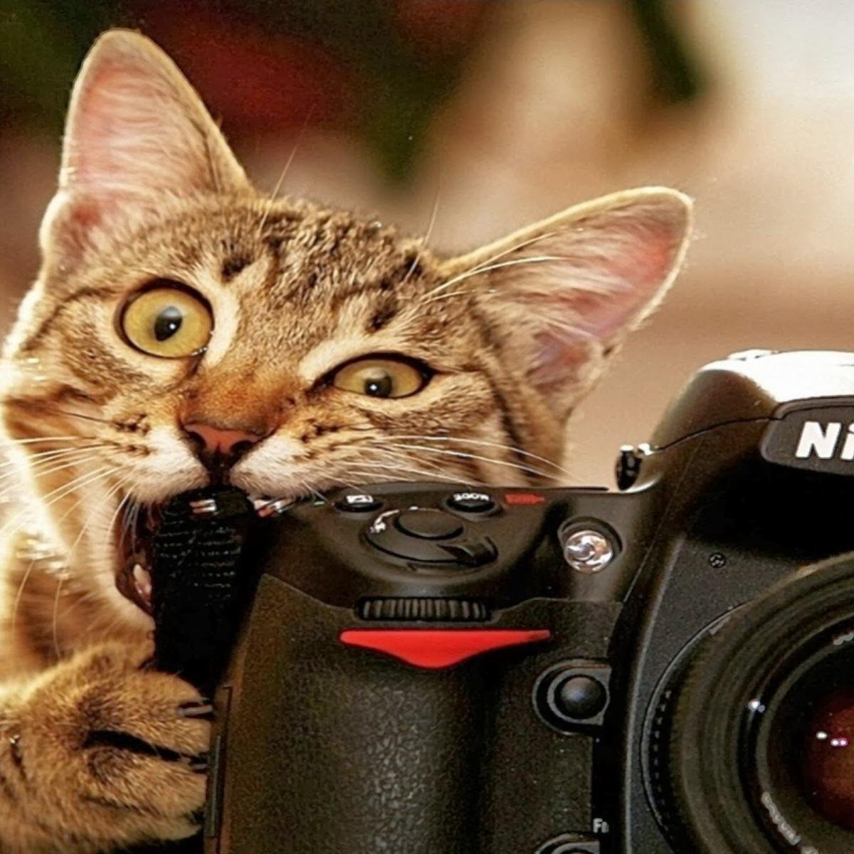 I own cameras that cost more than my self worth.