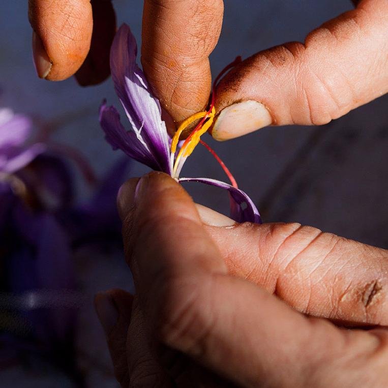 SaffronExporte's profile picture. 