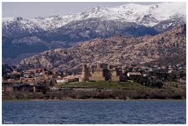 verdyrosss's profile picture. 