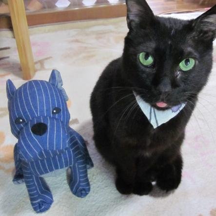 love cats, arts and luis barragan