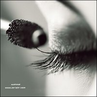 ~.زهرة اللوتس~. (@nono4614) Twitter profile photo