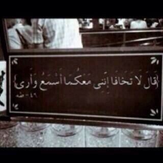 سيتم رد الاضافه خلال ٢٤ ساعه