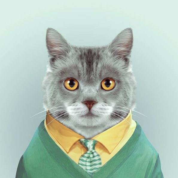 kotsoskina's profile picture. эксперт по всем вопросам и даже больше