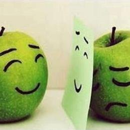 homoperplexus's profile picture. 