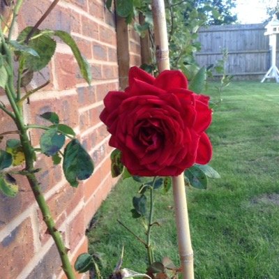 SM_Balderton's profile picture. Hi, I'm Sarah Store Manager at Sainsbury's Spilsby. Follow me for news, events & promotions through my eyes! All views are my own! Contact 01790 756996