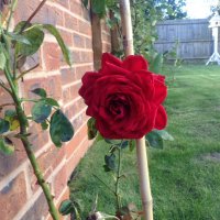 Sarah. Morgan (@sm_balderton) 's Twitter Profile