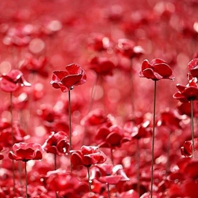 SaveGreenLand's profile picture. Thinking of wildlife, the water table, recreational space, green land #SaveTheCountryside #ProtectNature