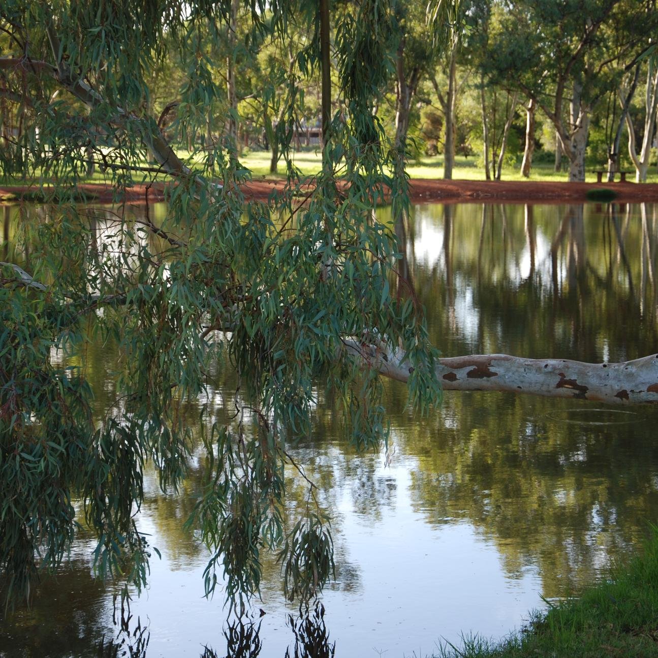 dkwilkie's profile picture. zzz