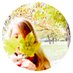 Rebecca B Lundin (@sandrarebecca) Twitter profile photo
