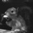 beppesan's profile image