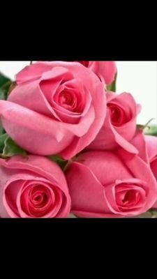 ‏اللهم احفظ جنودنا البواسل وأيدهم بنصرك وسدد رميهم وردهم لأهليهم سالمين غانمين
استودعناكم الله فردا فردا .