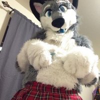 Cum covered sparky (@modded_sparky) 's Twitter Profile