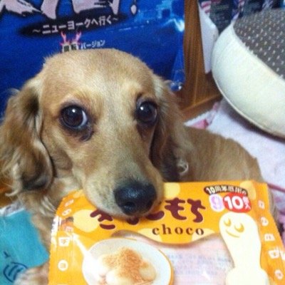 Kd11Youko328's profile picture. 堂本光一さんが大好きです＾＾🌼💕