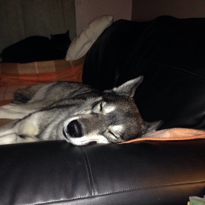 mike_m74allison's profile picture. 