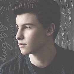 free follow, follow @mendesuniverse :)