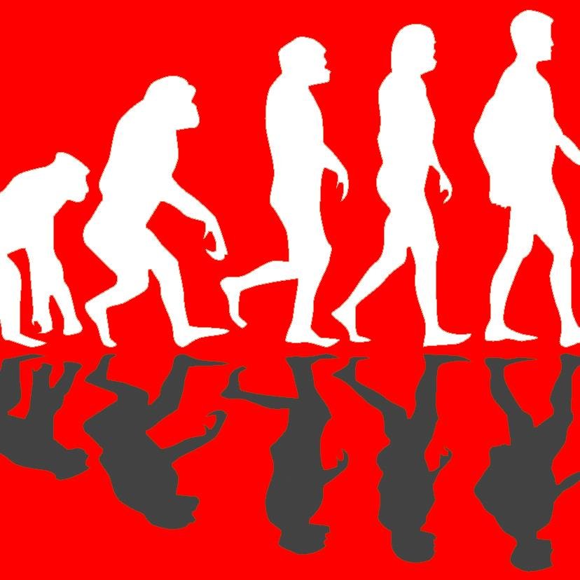 Evolutionary247's profile picture. 