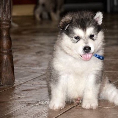 jennife__love's profile picture. 