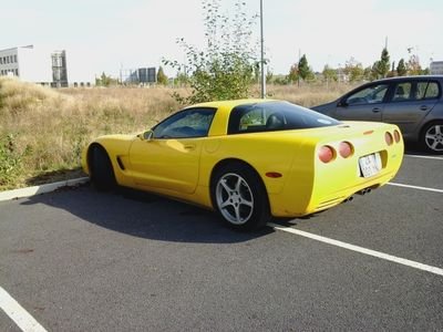 NJanura's profile picture. basketeur un jour baskereur toujours