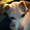 Kaleb Chaney - @Star_WarsRebels - Twitter