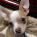 MIHO (@0308_km) Twitter