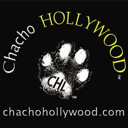 We specialize in creating loving transcendent memories of your pet through our heirloom portraits and original artistic shirts (Photography / Shirt  Print Work)