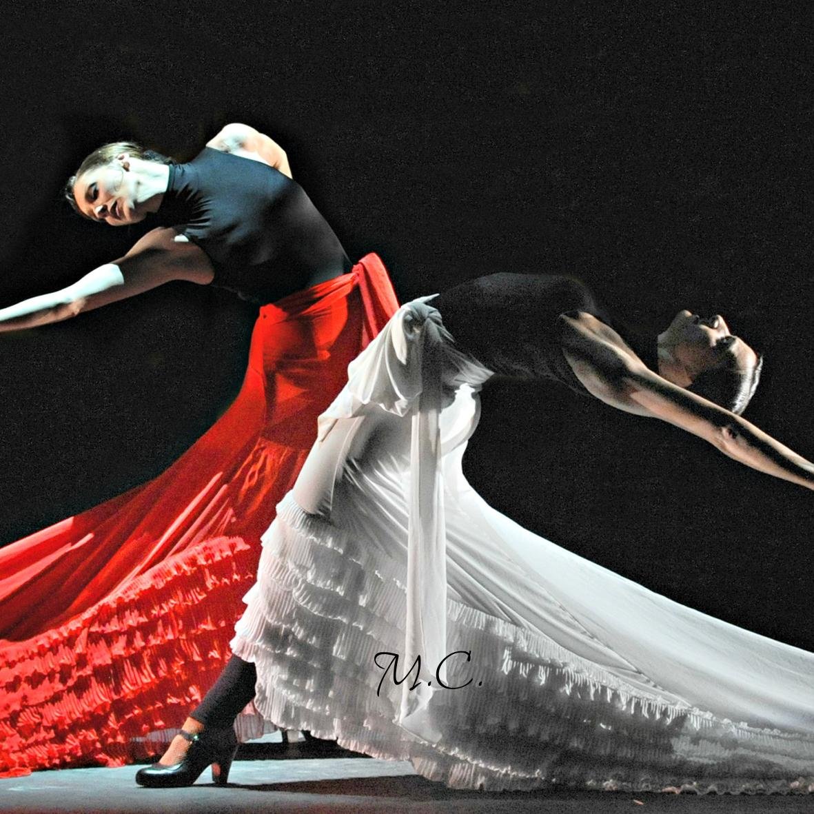 CarreteroTrajes's profile picture. El nombre de las colecciones de Maria José Maria Carretero va siempre vinculada al lado emocional de la diseñadora.