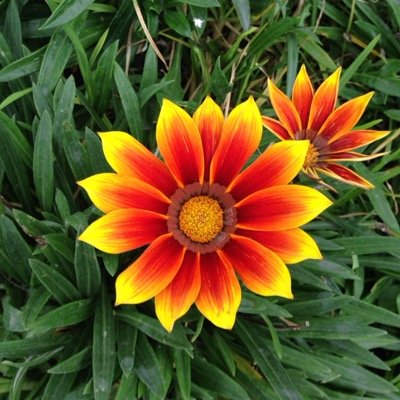 baleiva's profile picture. MBA. Ing de Sistemas - Universidad Nacional de Colombia / Photographer Fan