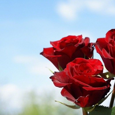 88nawaal's profile picture. سيدة اعمال لايروق لي التغريد في تويترولادخوله كثيرا.احب اعادة كل تغريده يقوم بها احد المغردين ويسعدني متابعته والتعليق على تغريداته @fofo5000000