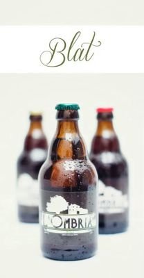 Cervezalombria's profile picture. Premio Lúpulo de Oro 2014.#Cerveza  d'autor artesanal con productos 100% naturales. T.635 33 44 54 / bebecervezalombria@gmail #craftbeer #cervezaartesanal