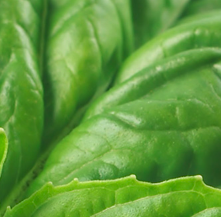 panicoverload's profile picture. 