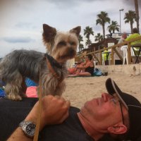 jean michel baillet (@jmbaillet) 's Twitter Profile