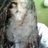 KONFLICT619's profile image
