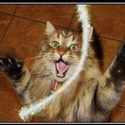 giselecheverri7's profile picture. Colombian reverie. tweeting about random topics I find interesting. I❤️kindness,animals,health,science, psychology,fitness,history,nutrition, arts